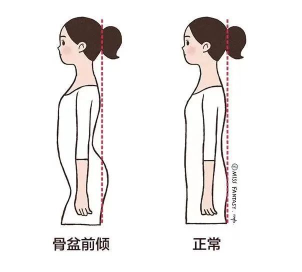 澳门威斯尼斯没想到每天几分钟打卡一个月收获这么大！(图8)