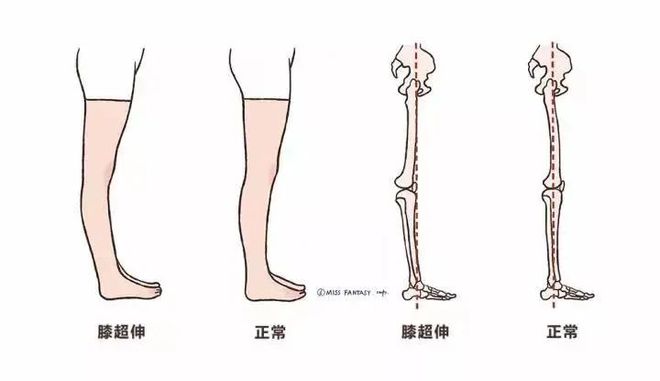 澳门威斯尼斯没想到每天几分钟打卡一个月收获这么大！(图15)